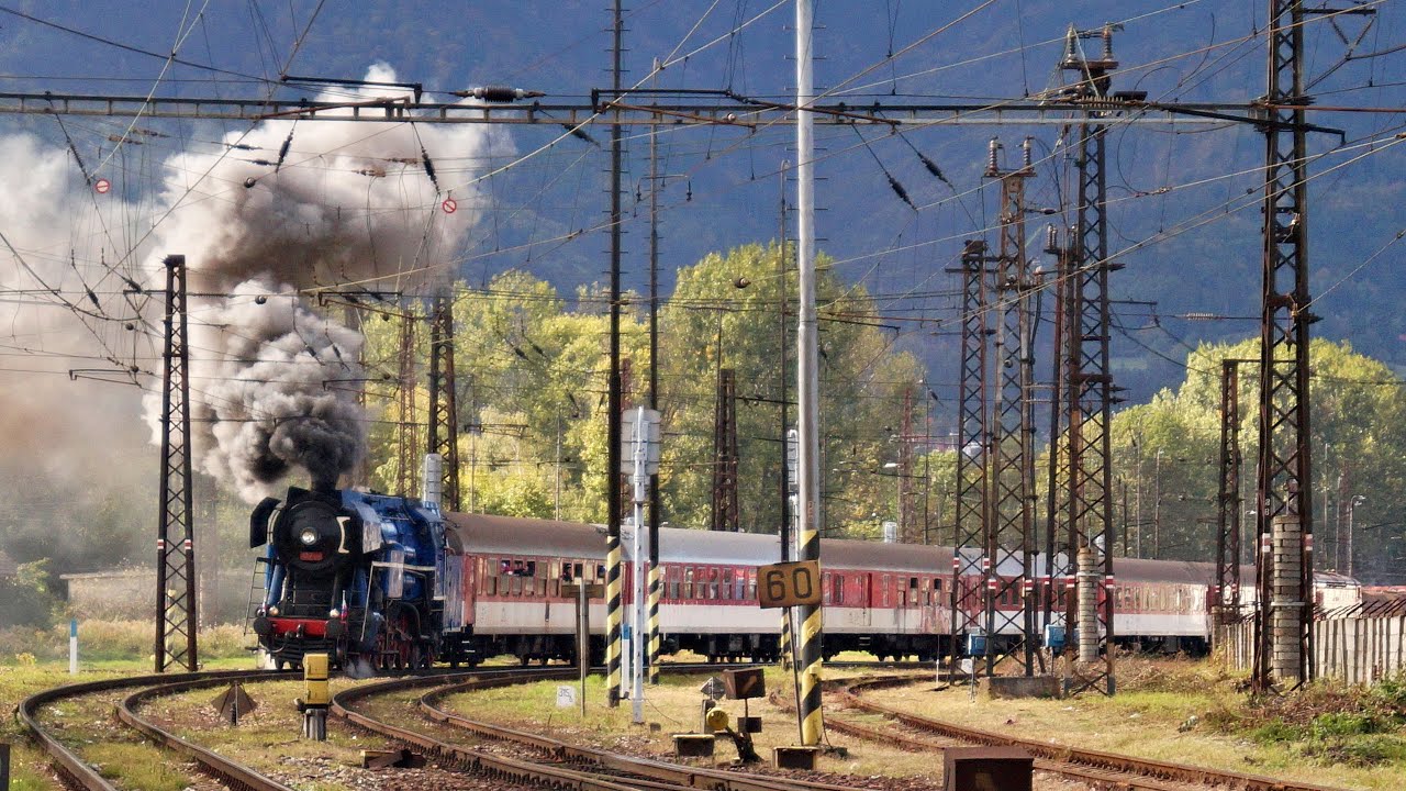 Papagáj s Bardotkou na súpravovom vlaku vo Vrútkach #train #vlaky #railway #steam