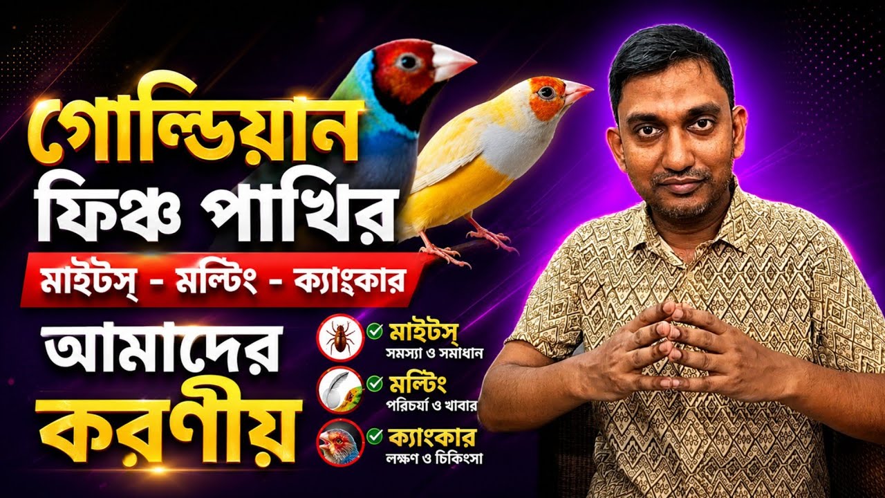 গোল্ডিয়ান ফিঞ্চের মল্টিং মাইটস্ ও ক্যাংকার | 3 Shocking Gouldian Finch Health Issue (V-415)