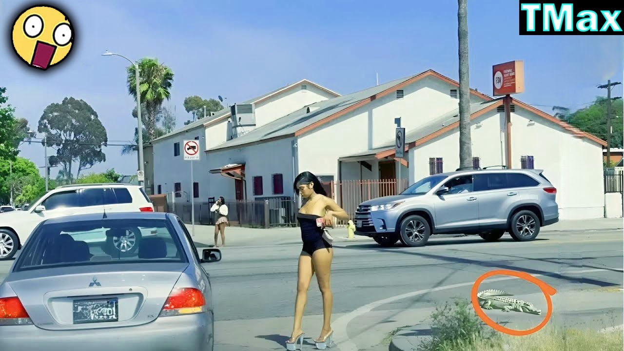 TOTAL IDIOTS AT WORK / Instant Regret Fails Compilation 2025 / Best Fails of the Week #251