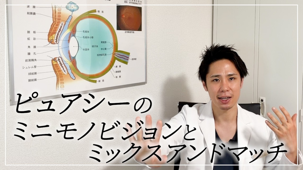 ピュアシーのミニモノビジョンとミックスアンドマッチ
