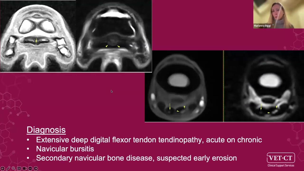 Equine Imaging Masterclass Webinar: Advanced imaging of the foot, what we have learned & the future