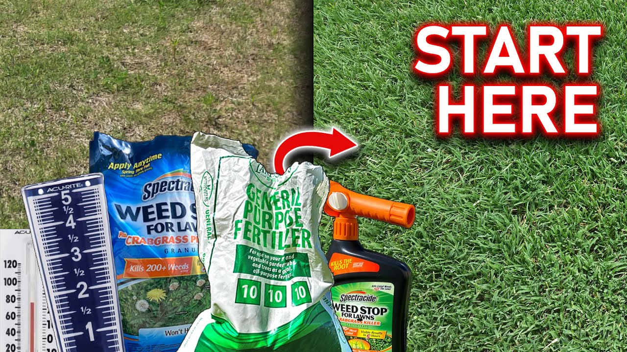 Советы по уходу за газоном для начинающих // Необходимые шаги для исправления вашего неприглядног...