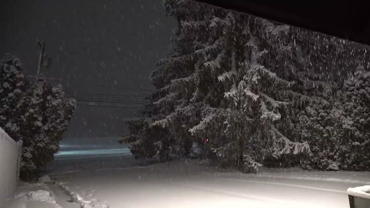 Snow storm - February 22, 2026 - Gulph Mills, PA - 1