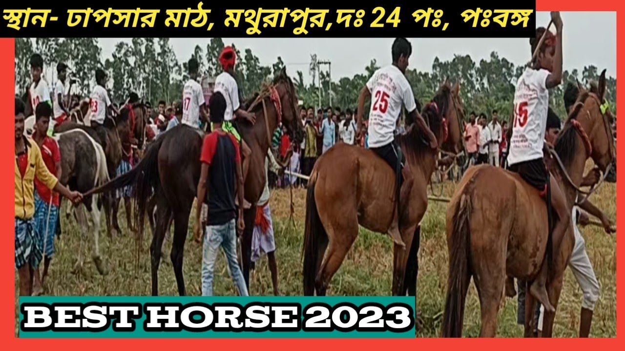 Referee s jamadar live :Most powerful horse race 2023.