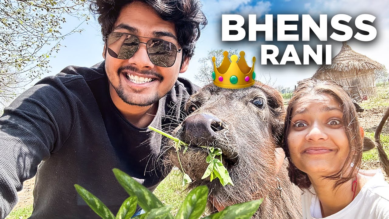 Bhenss Rani 👑😪  | The Roamer Amit