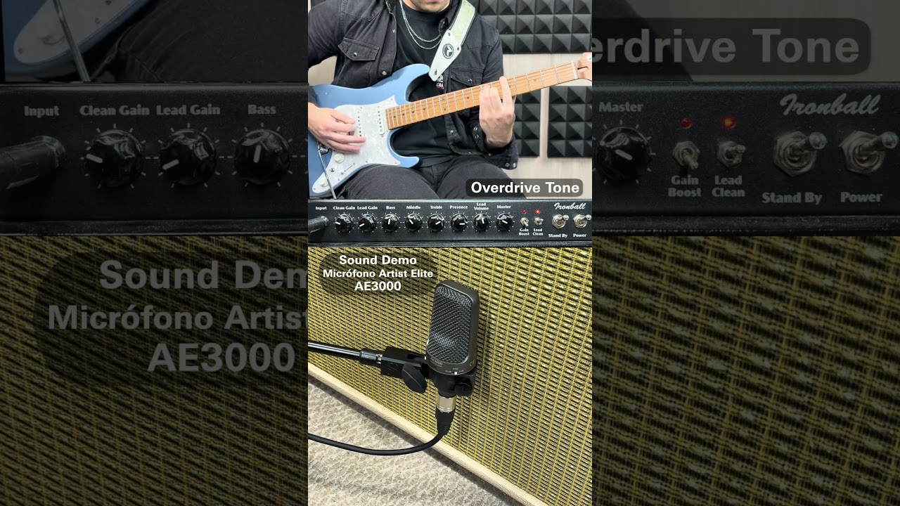 Micr&oacute;fono Audio Technica AE3000
