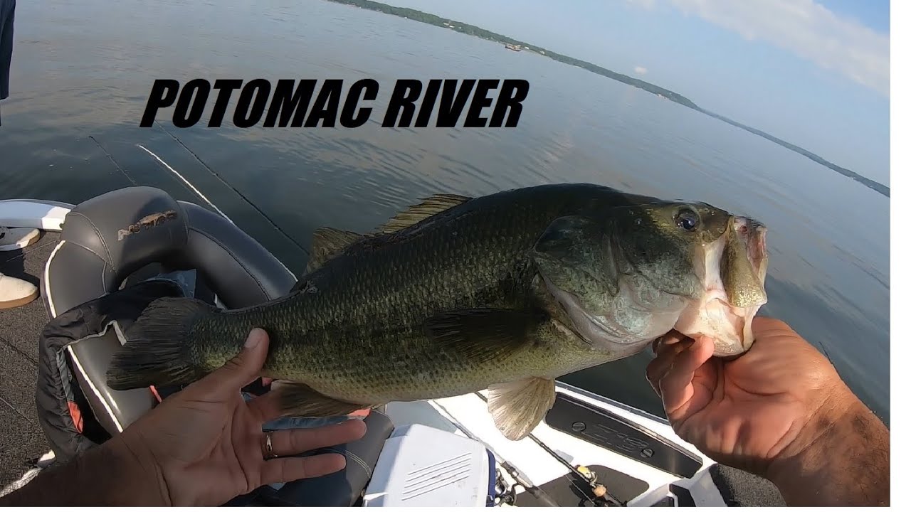 Potomac Teams Tournament - How My Client and I Finished in the Top 10