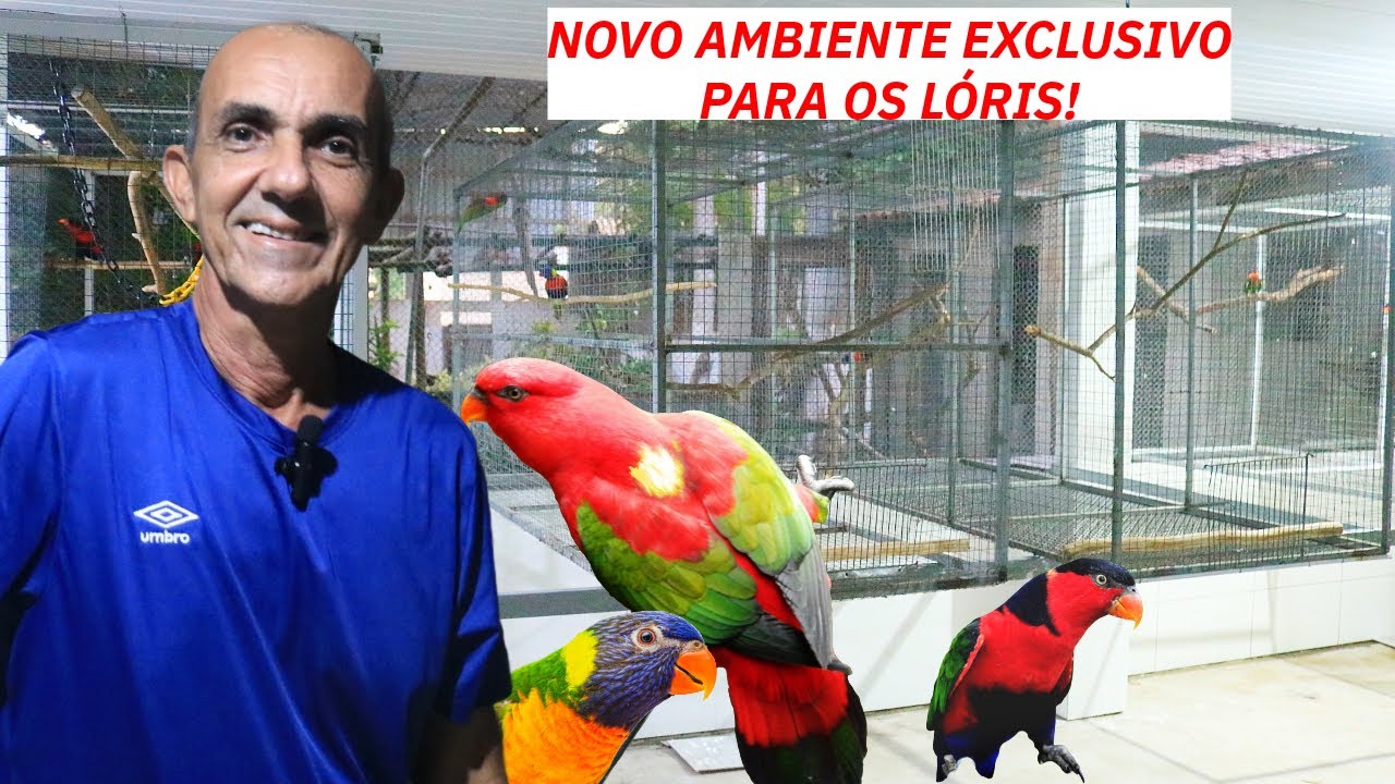 NOVO RECINTO PARA OS LÓRIS I COMEÇANDO A TRAZER OS VIVEIROS
