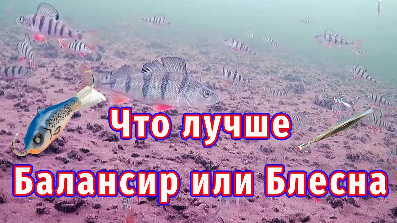 Что лучше ловит Окуня? Балансир или блесна!