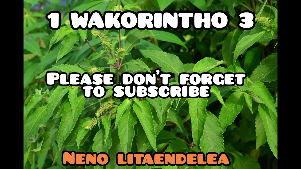 1 WAKORINTHO 3
