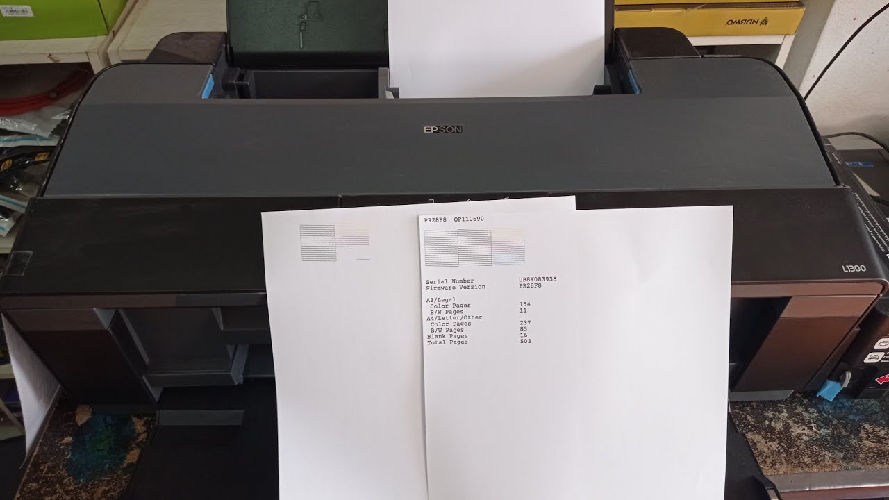 Epson L1300 Nozzle check and Printhead cleaning