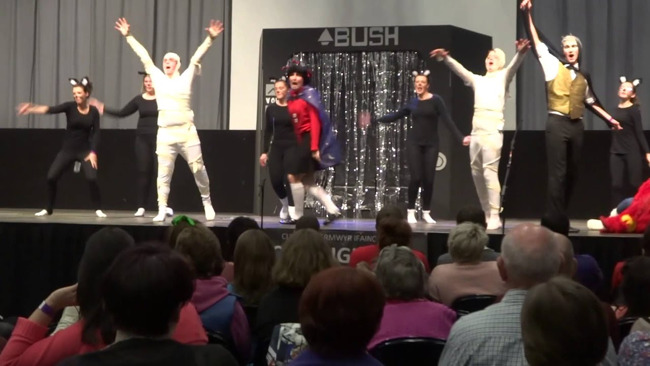 Meimo Llanwenog, Eisteddfod 2013