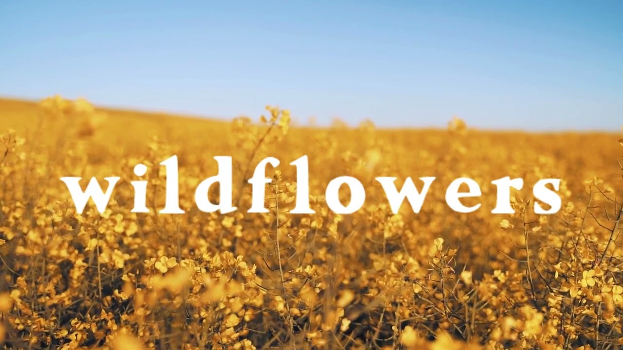 Wildflowers Welcome