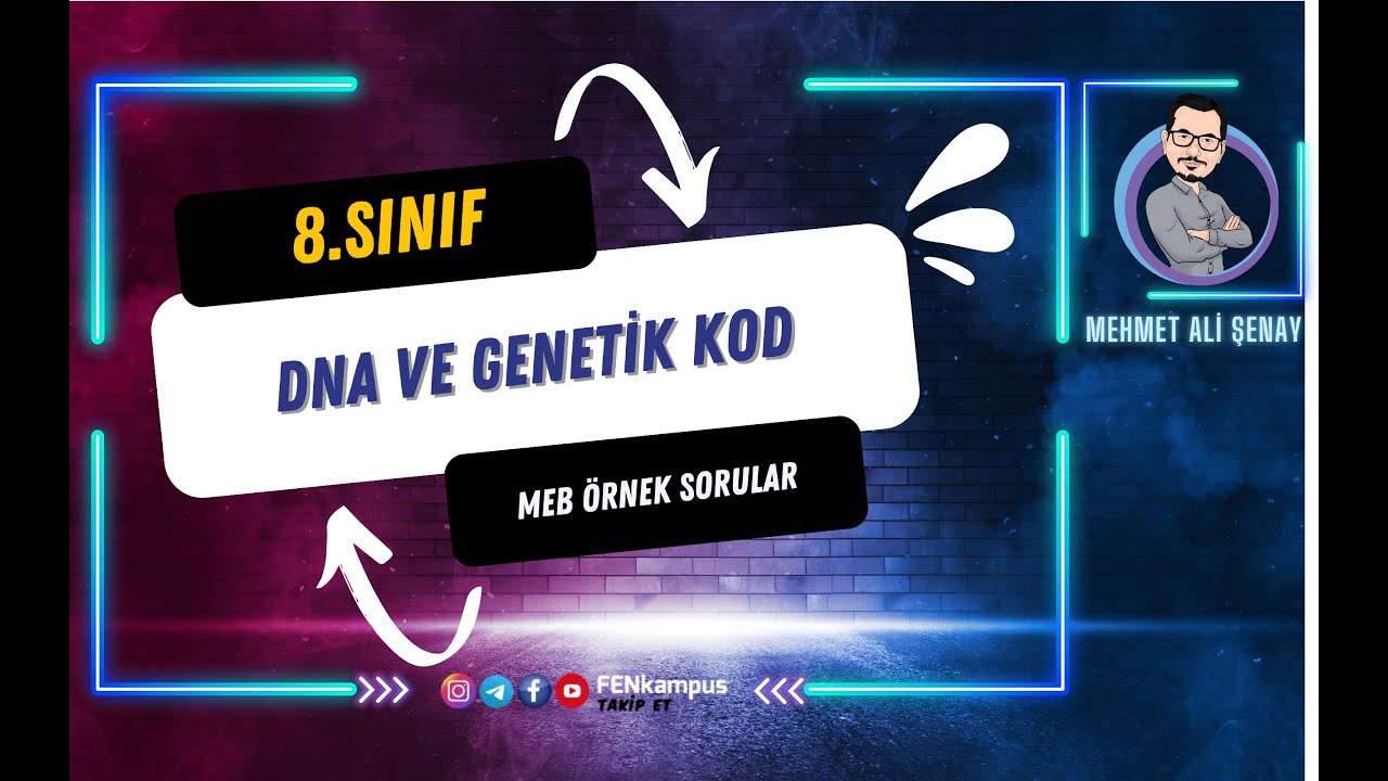 8.2.1. DNA ve Genetik Kod - MEB Örnek Soruların Çözümü