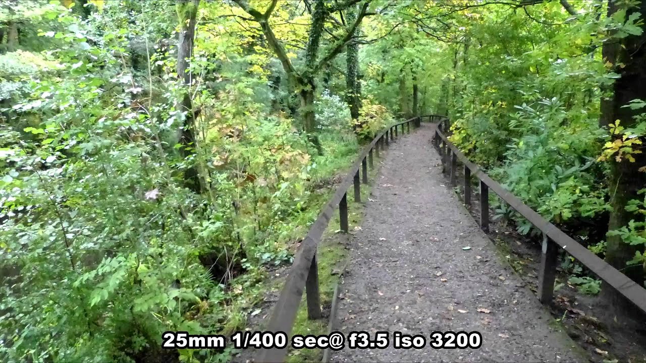 Panasonic Lumix FZ200 and the Joy of Photography with it