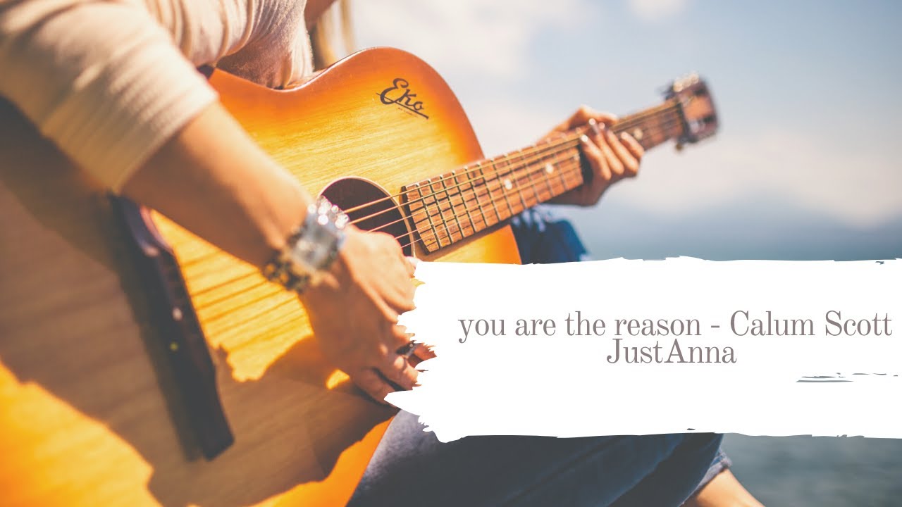 You are the reason cover - Calum Scott - JustAnna