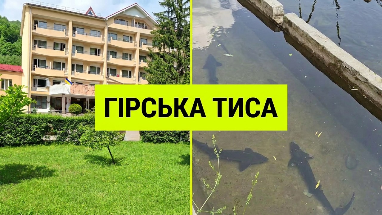 Кваси. Санаторій Гірська Тиса, оглядаємо територію.  #ukraine #відпочинок #україна #закарпаття