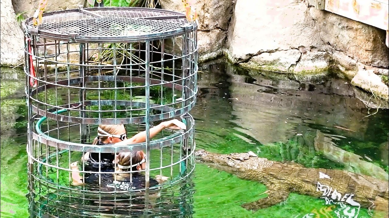 Day 10 - Croc Cage Diving at the Cango Wildlife Ranch