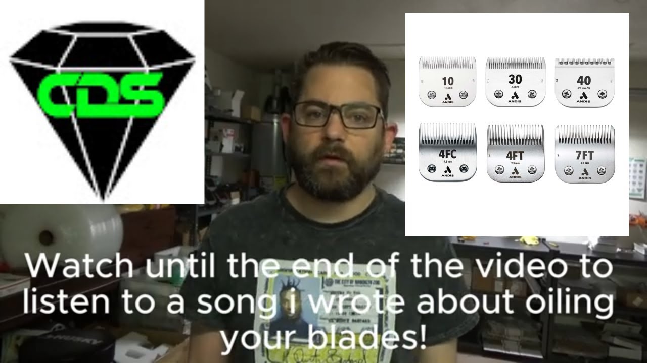 Revitalize Your Grooming Tools: Expert Clipper Blade Sharpening for Dog Groomers and Barbers!