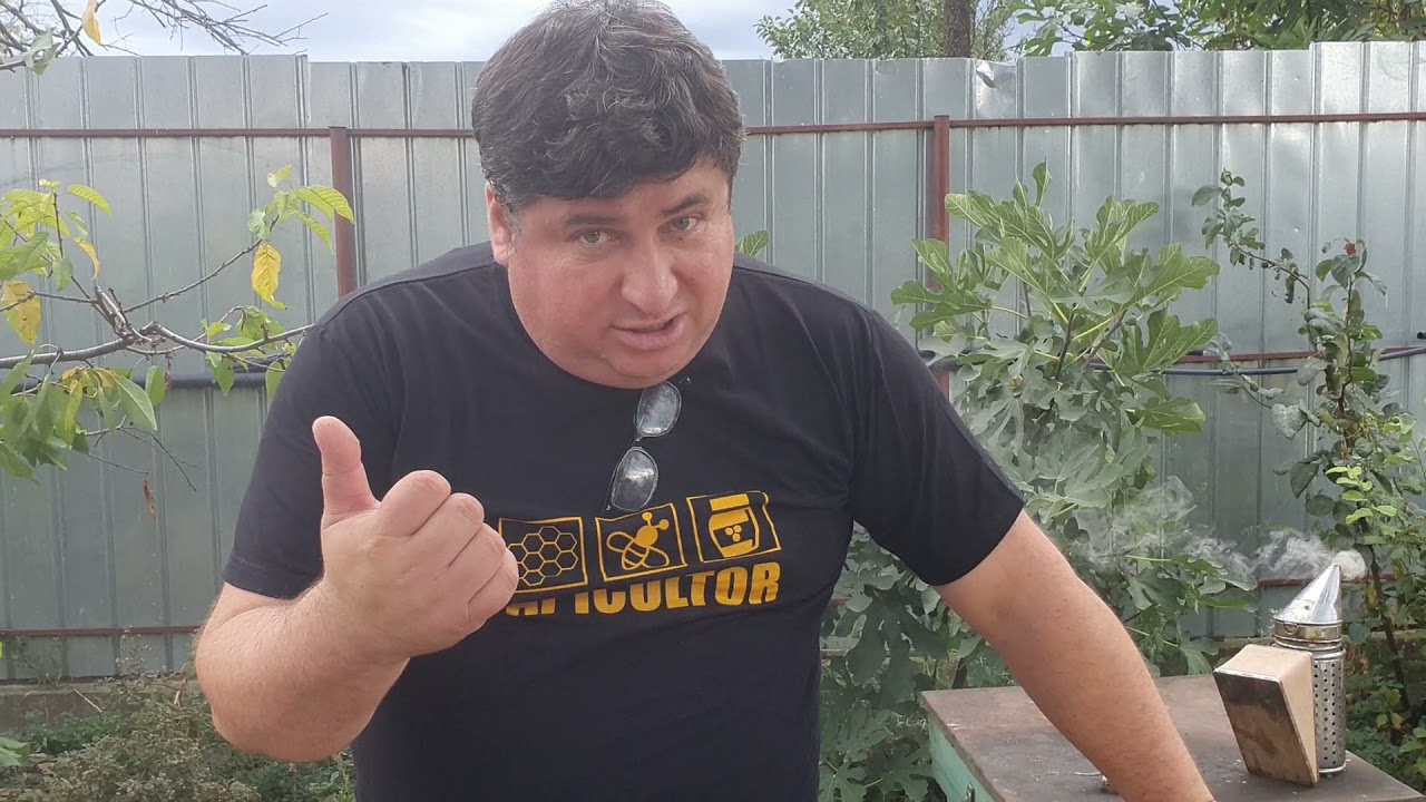 Apicultura urbană ep.73 , intrăm cu super protein pattie deoarece avem puiet mult.