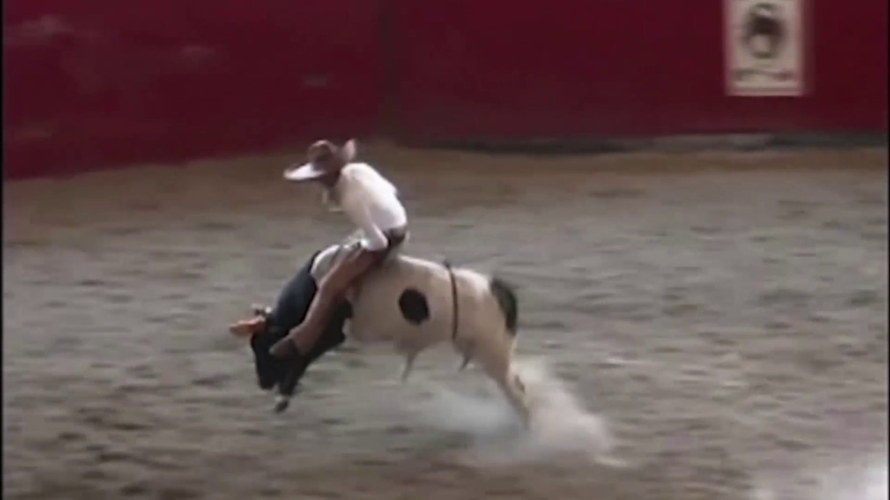 Charrer&iacute;a, equestrian tradition in Mexico