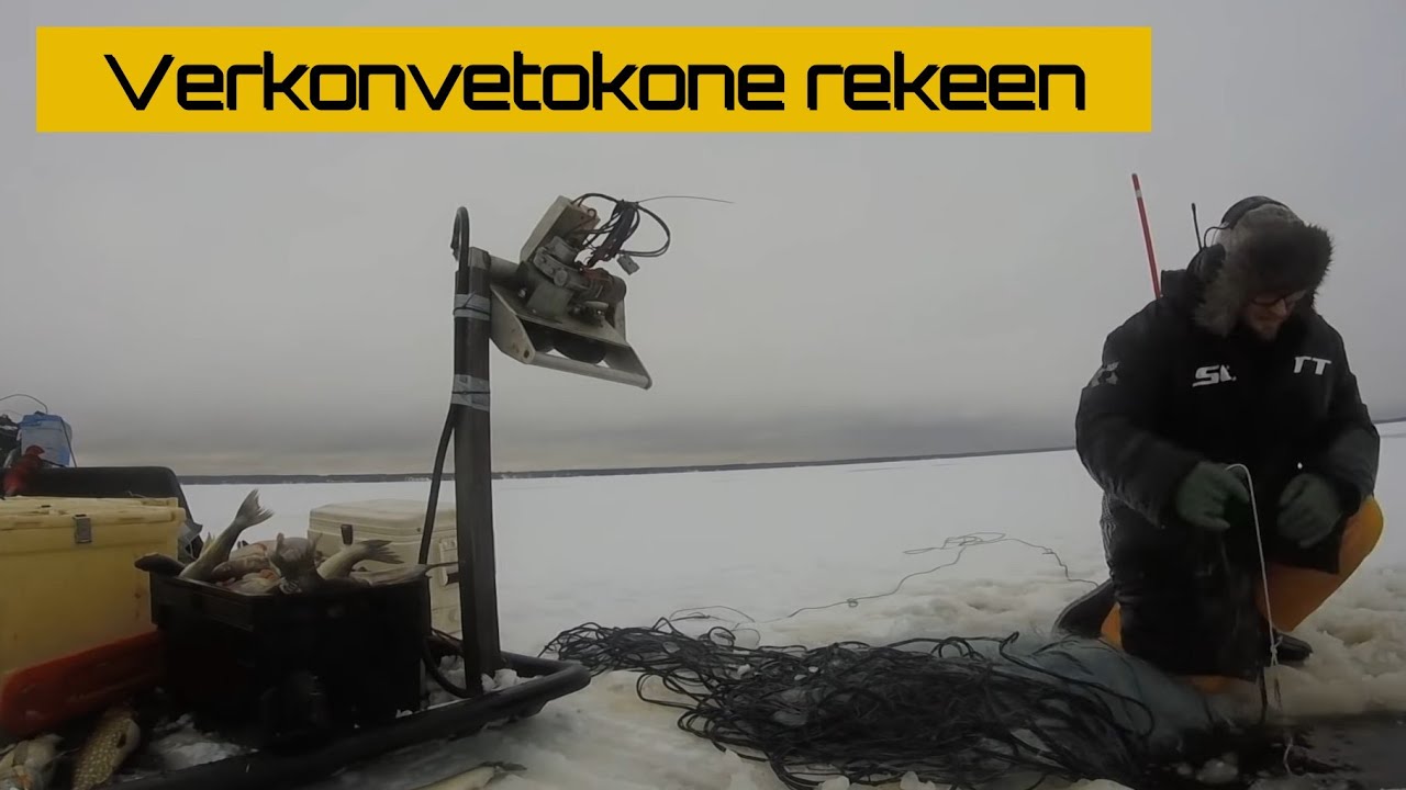 Talviverkoilla 003/2021