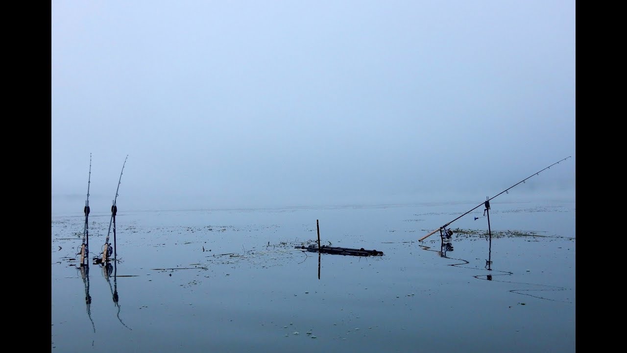 Pêche à la Carpe // Une semaine en grand lac