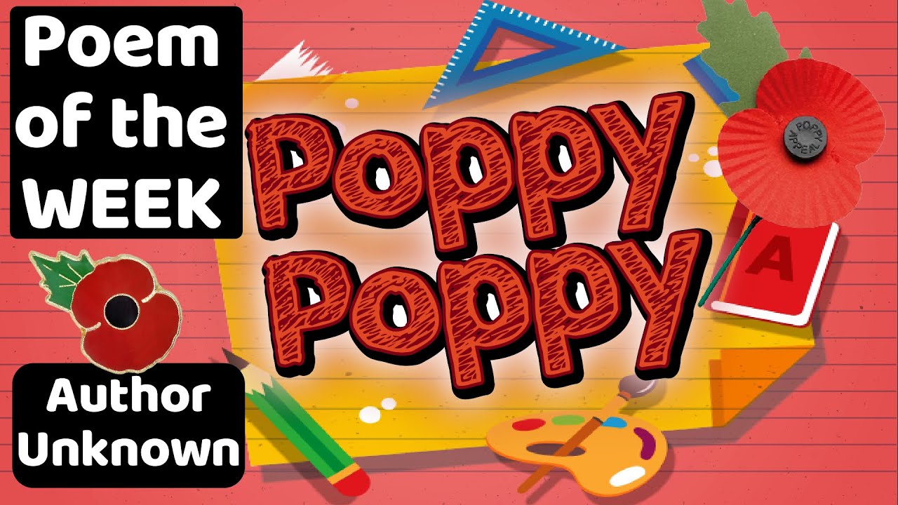 POPPY POPPY | REMEMBRANCE DAY POEM OF THE WEEK | Read by Miss Ellis #poemoftheweek