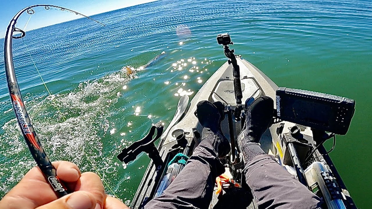 SLICK Calm Fishing Off The Beach + A LUCKY Surprise!
