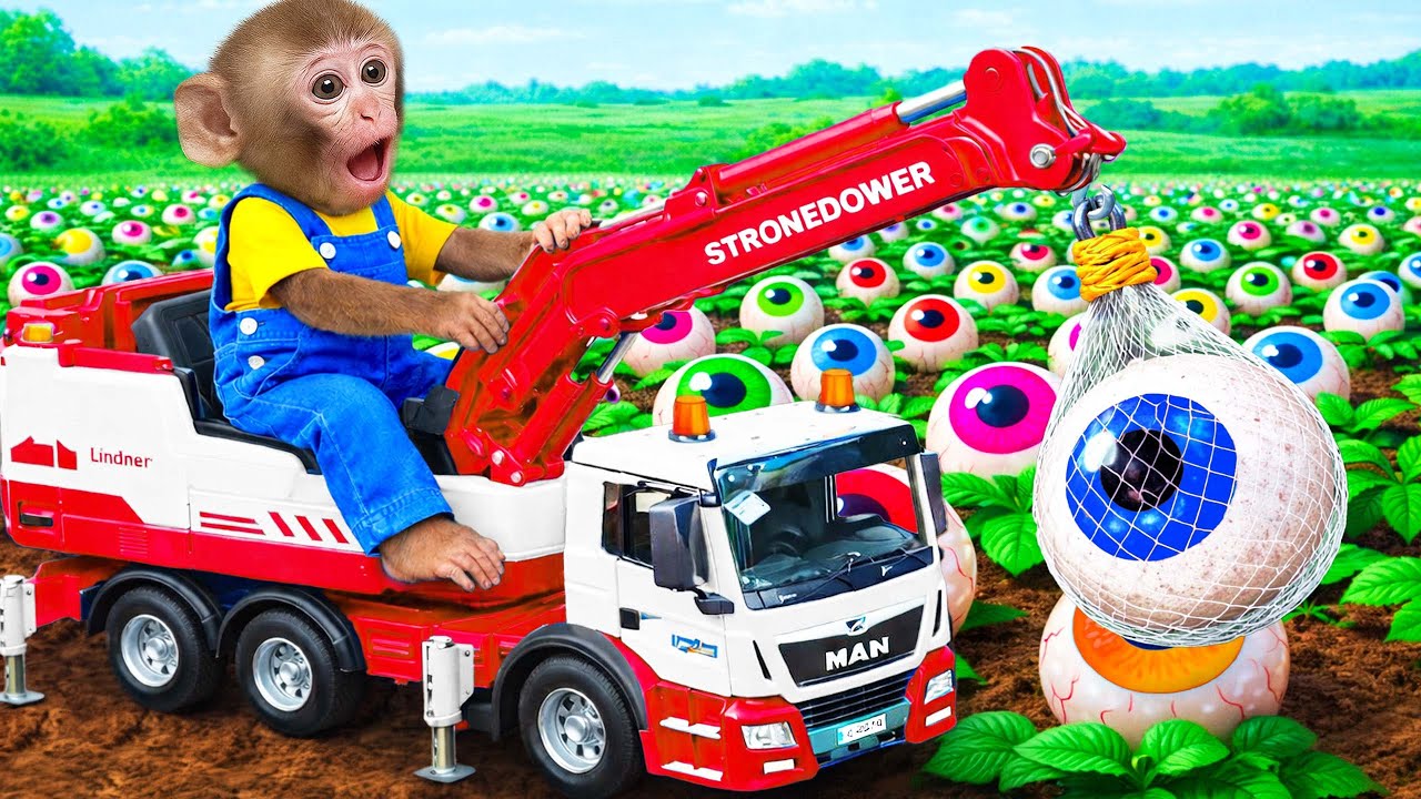 Mono Luna cosecha dulces gigantes con una grúa en la granja #2 🍭🚜| MONO LUNA ESP