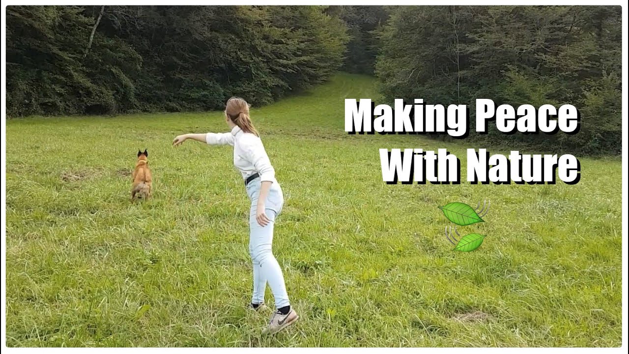 Making peace with nature 🌿