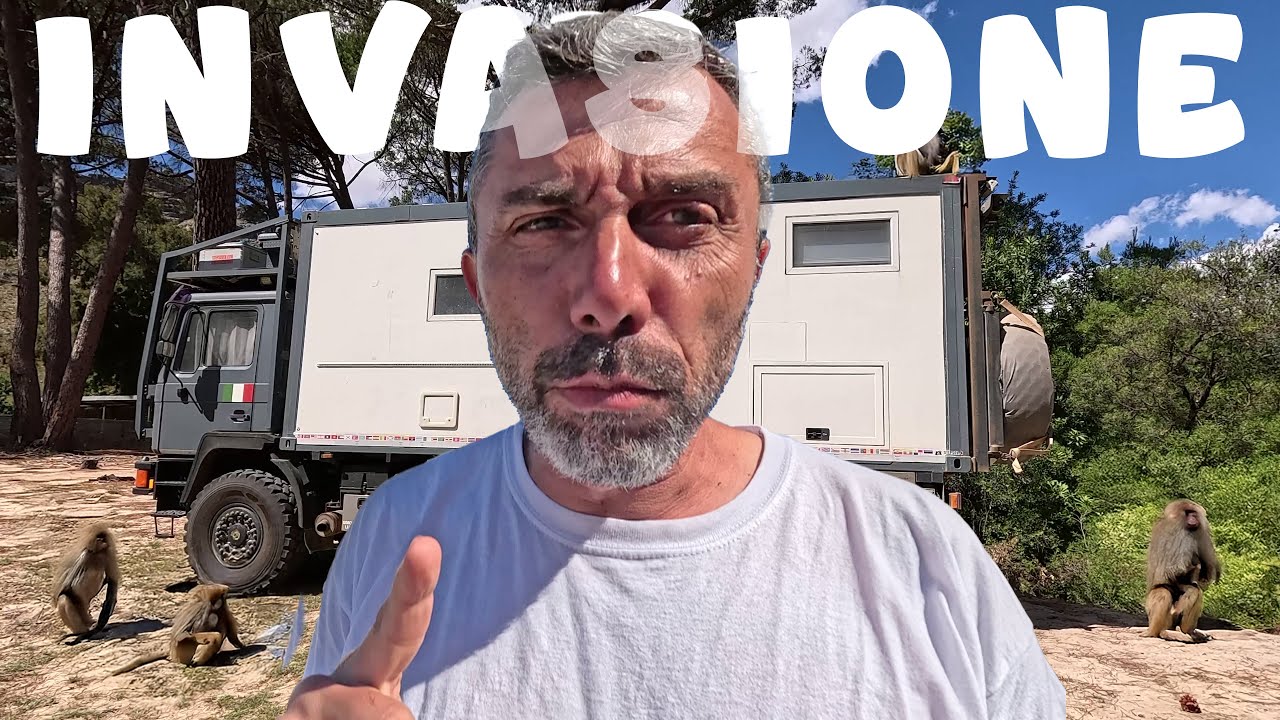 Invasione di BABBUINI 😵 Tutto è iniziato QUI 🔥 Giro del Mondo in CAMPER 4x4