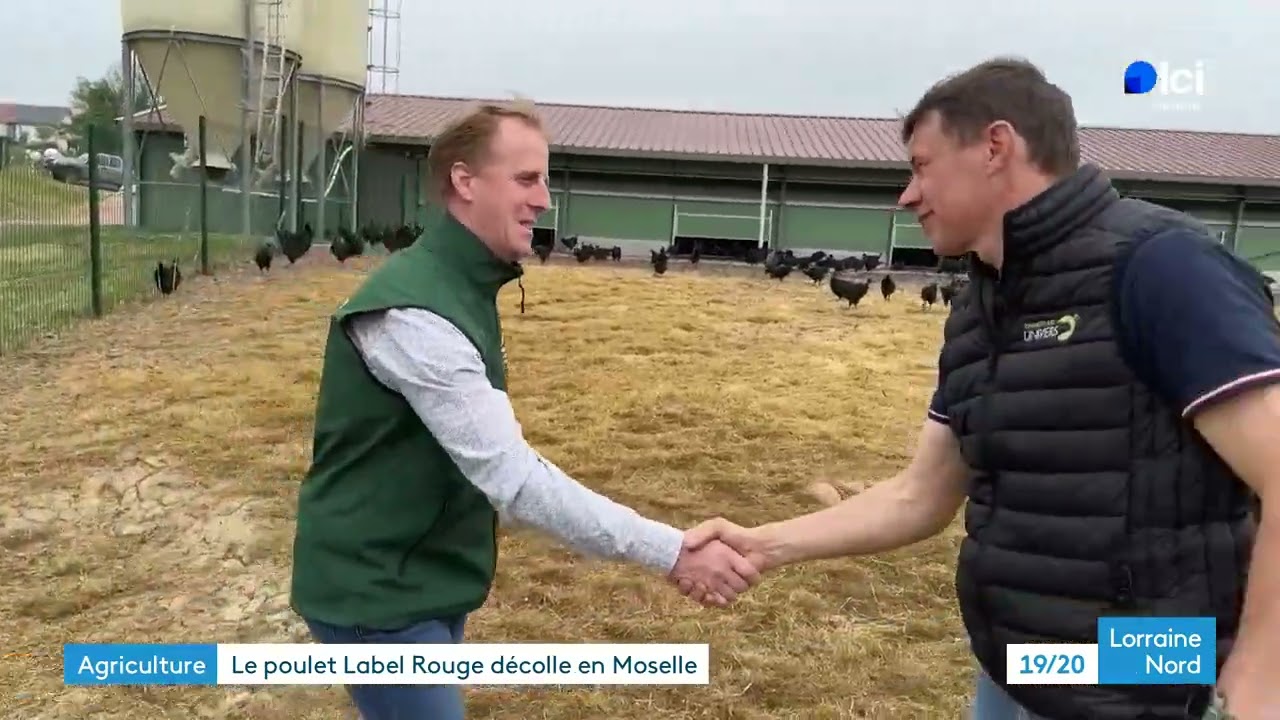 Ces jeunes agriculteurs de Moselle misent sur la filière locale du poulet "cou nu noir"
