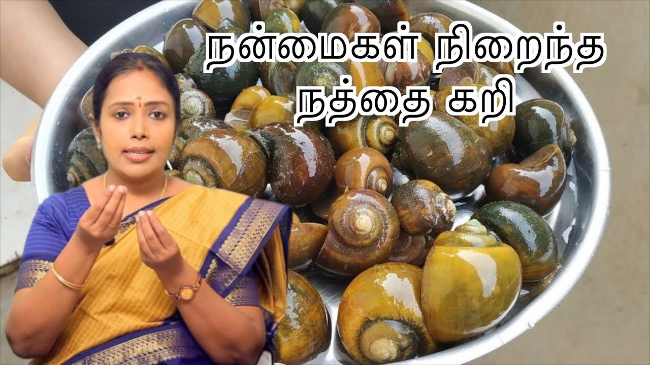 நன்மைகள் நிறைந்த நத்தை கறி  | மூல நோயை விரட்டியடிக்கும் நத்தை இறைச்சி | Dr. D Rajalakshmi