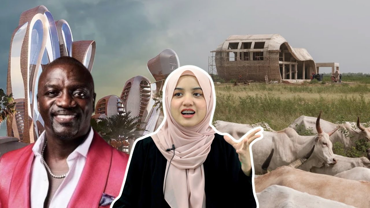 Projek Wakanda Akon City Gagal