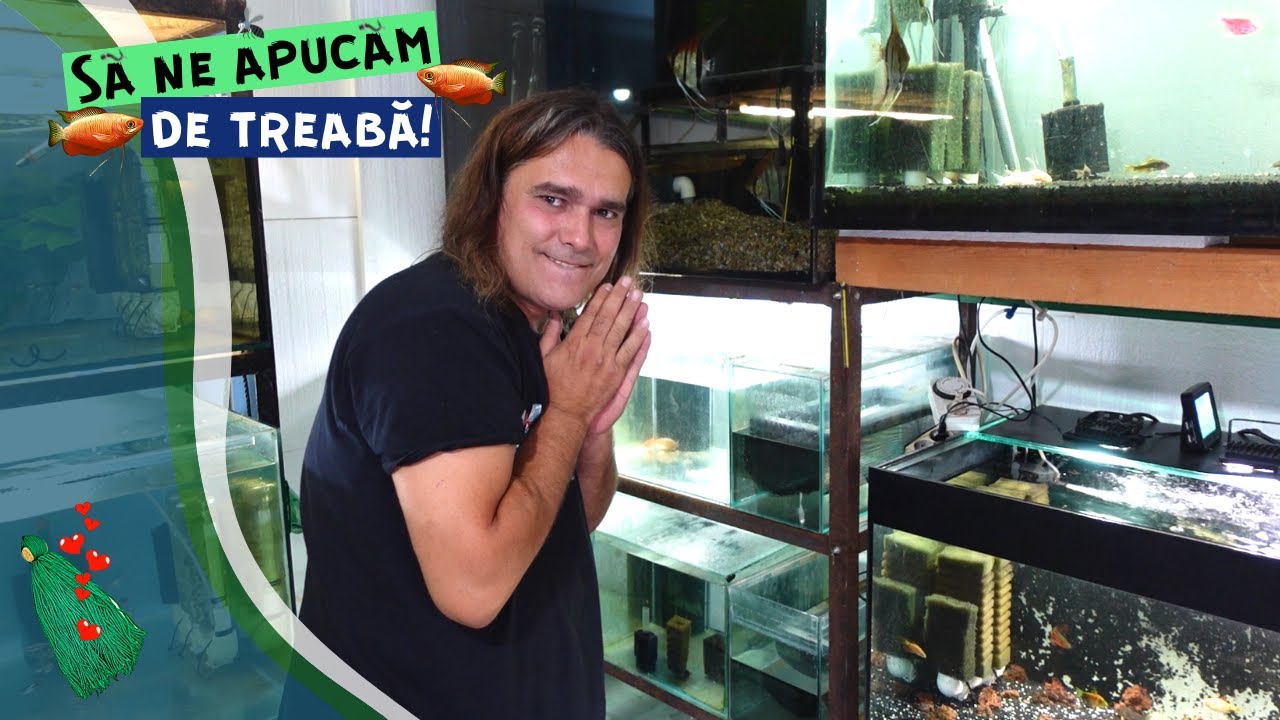 Vlog #16 | Am inceput sa reproduc pesti