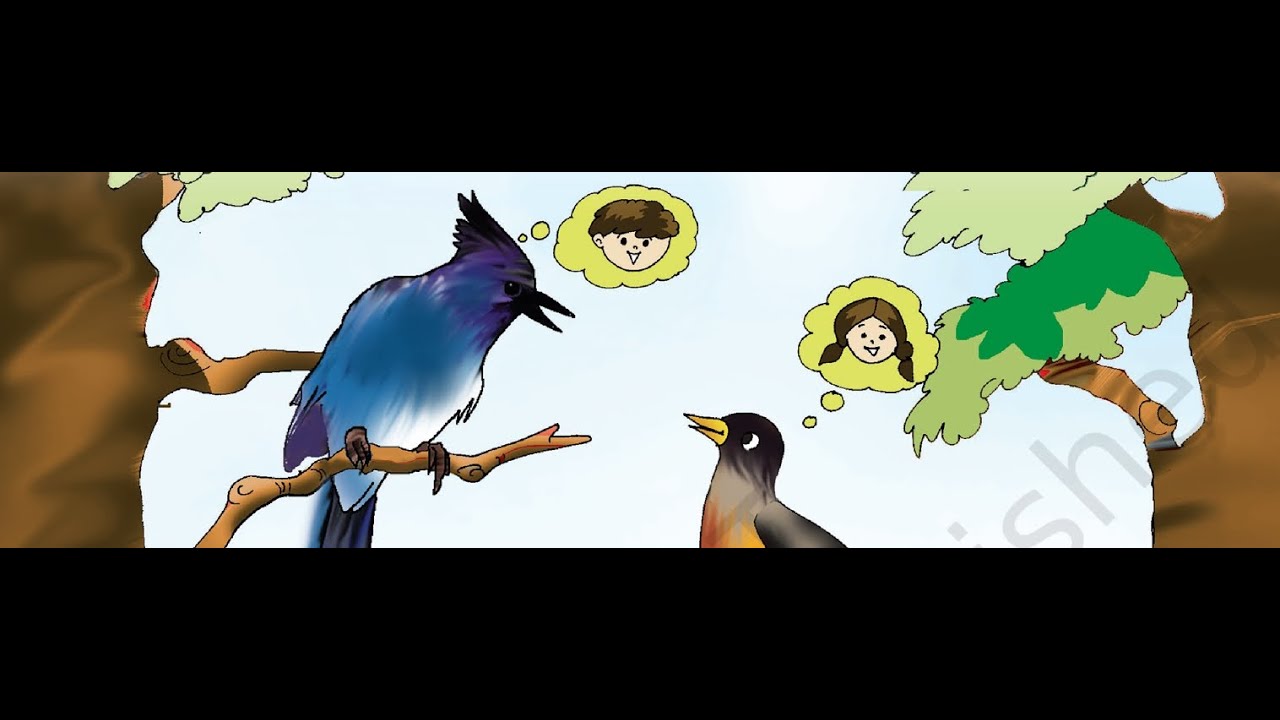 Class 3 English Unit 2 | Bird Talk 🐦 | NCERT Marigold Explained in Hindi | Part 1 #hindi #ncert