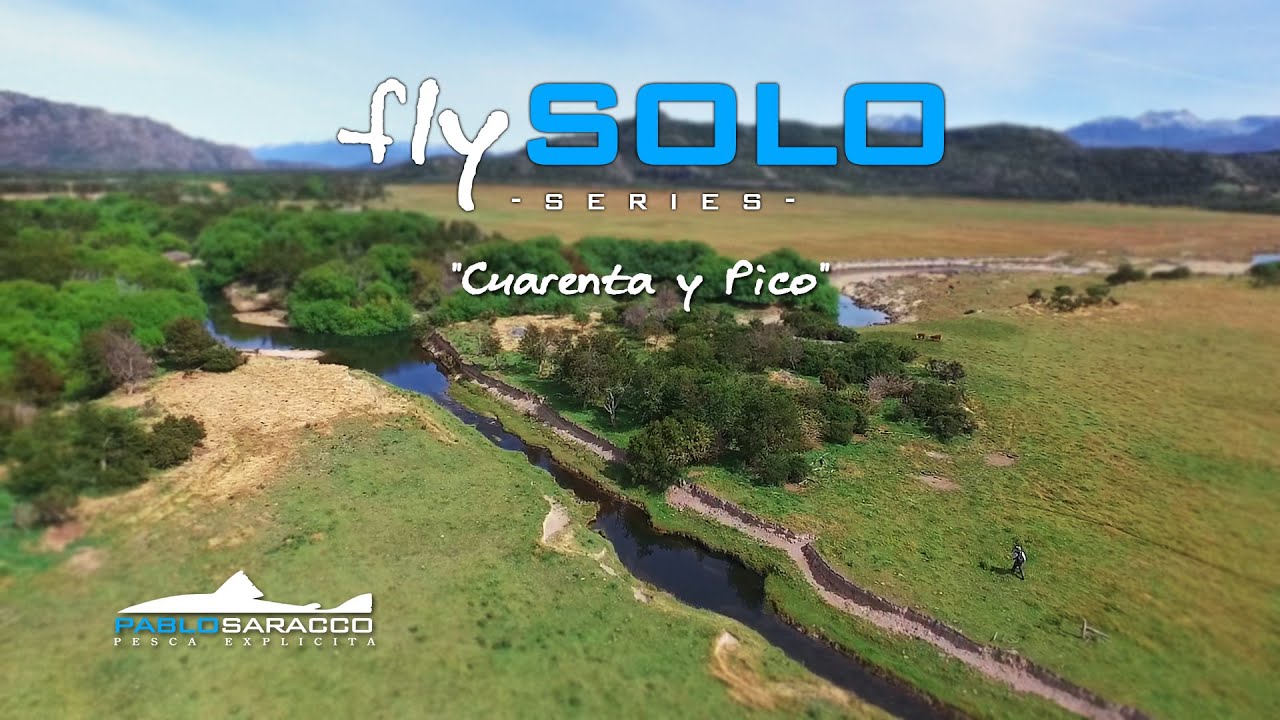 flySOLO 