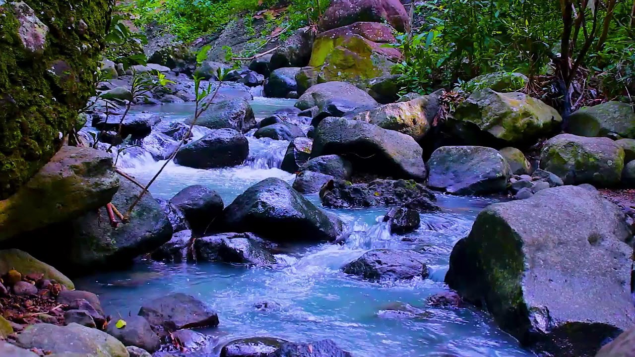 Mountain Forest Water Stream | Calm Nature White Noise for Night Sleep