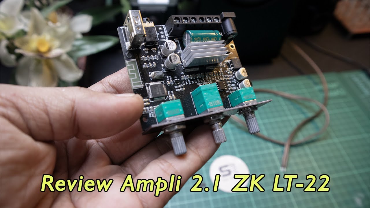 Review Amplifier Wuzhi ZK LT 22