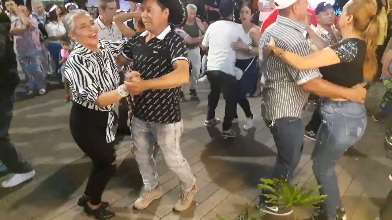 Los integrados parranderos. Solita para mí. Diciembre 3 2023.