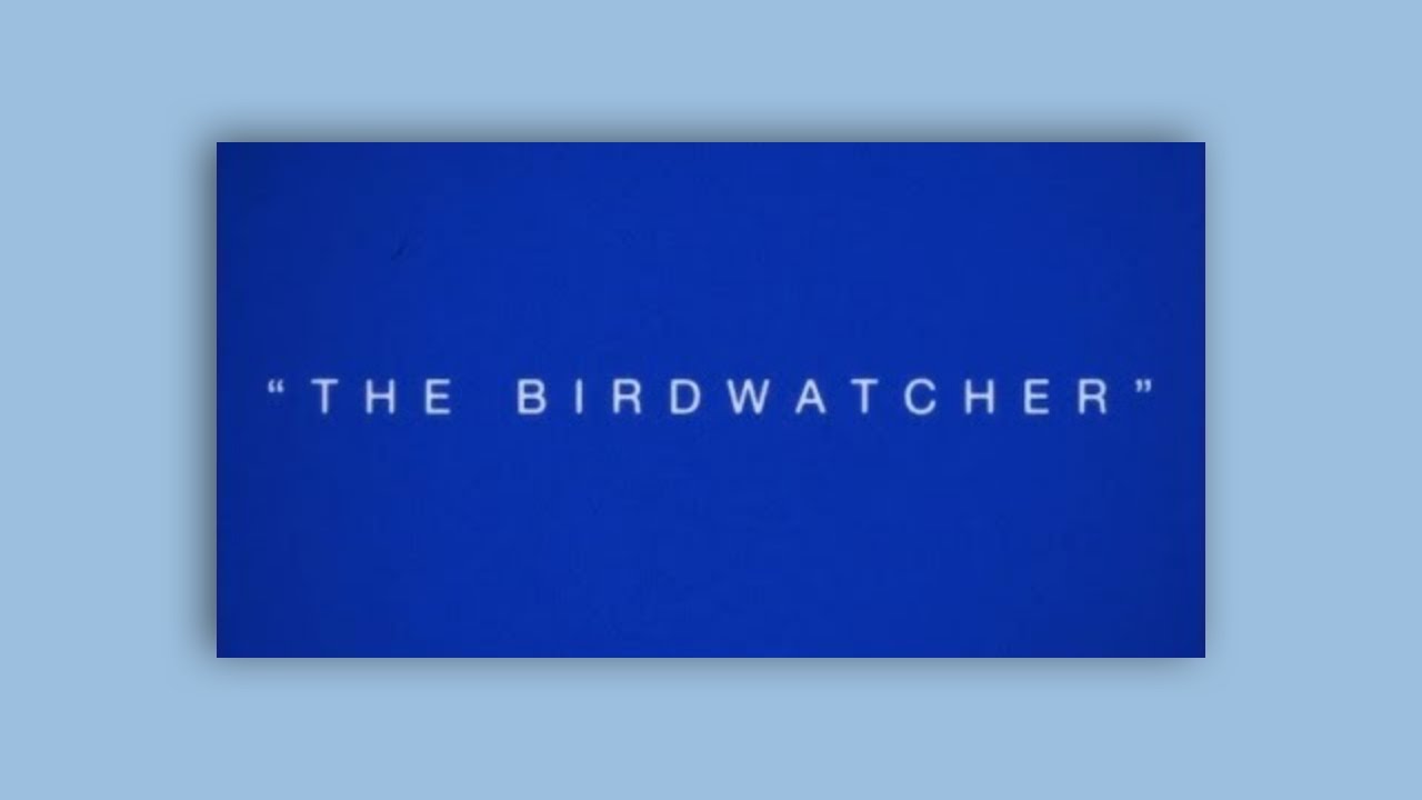 VULFPECK /// The Birdwatcher