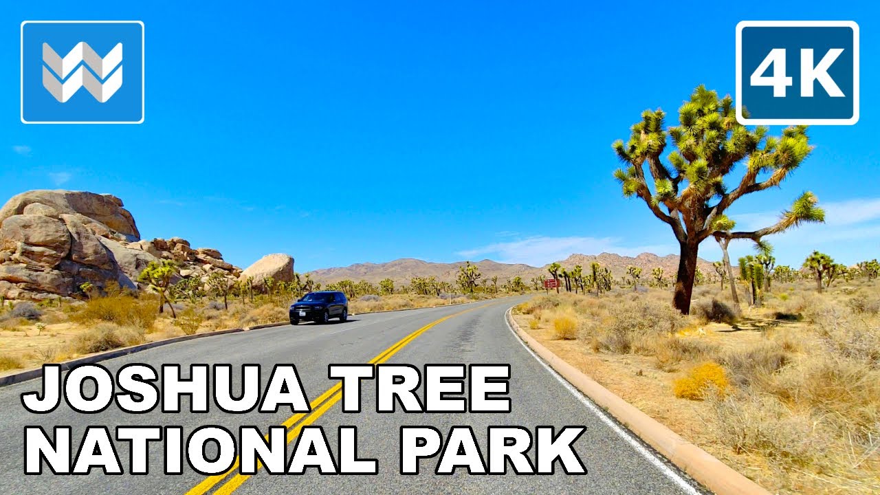 [4K] Scenic Drive: Joshua Tree National Park in California USA - Virtual Driving Tour