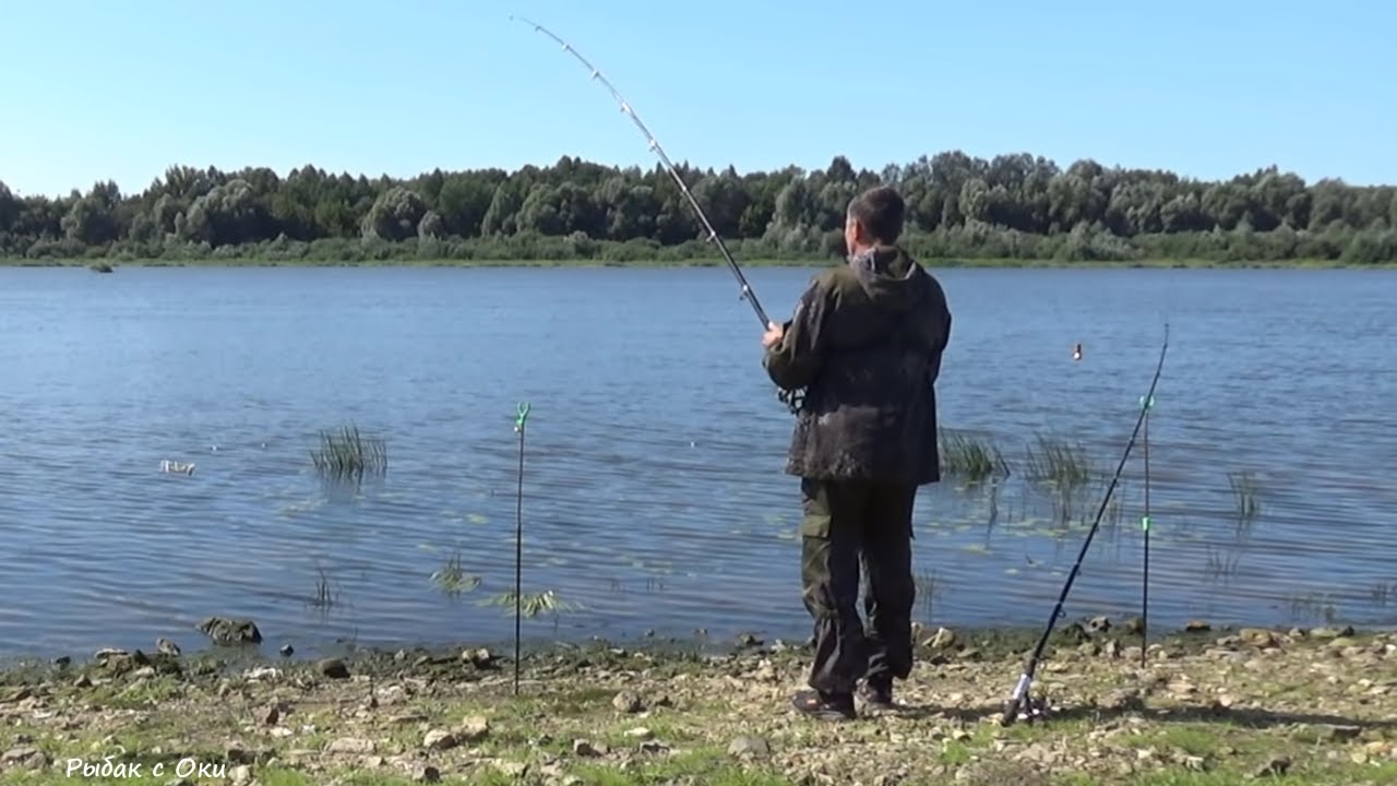 Эта СНАТЬ Ловит Большого Леща! Эти КАБАНЫ любят САЛО! Рыбалка на Короткие Поводки на Оке!