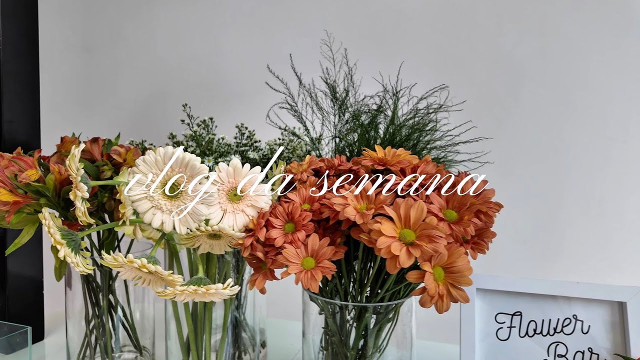 Meu primeiro VLOG!!!!!!! 