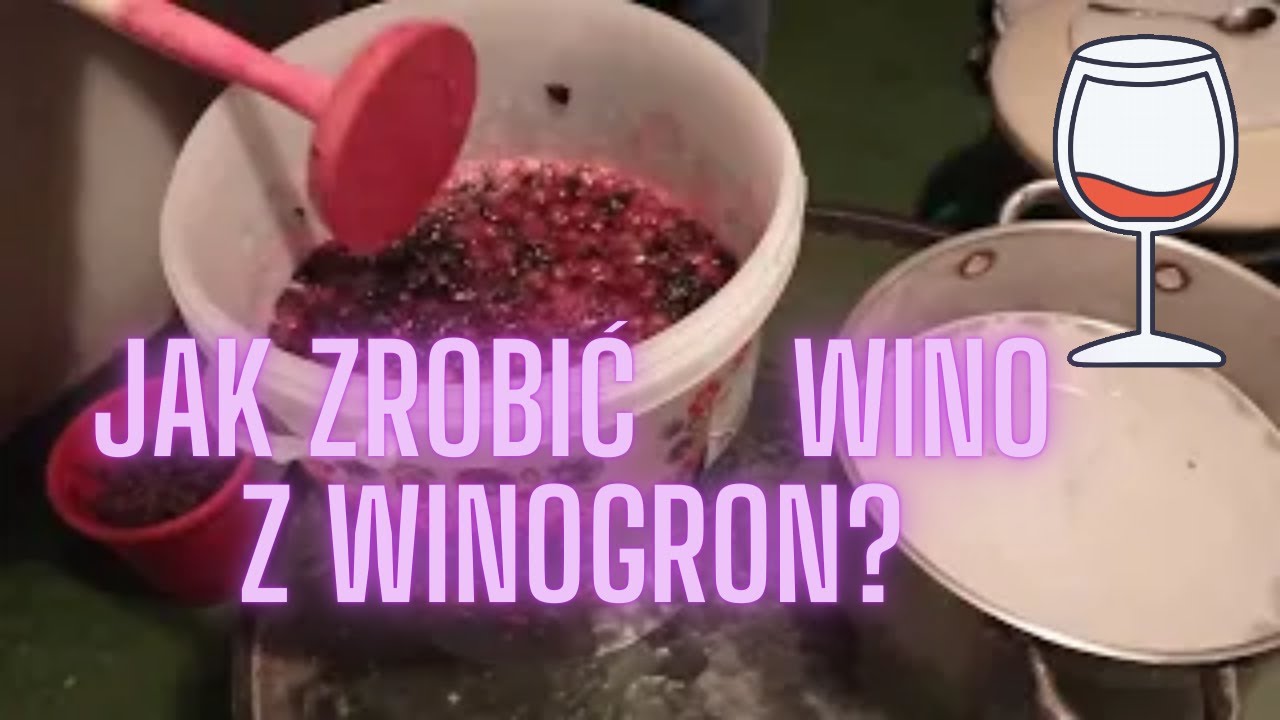 Jak zrobić 🍷 wino z winogron?