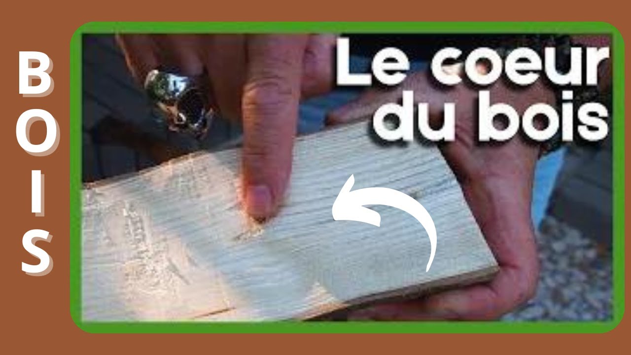 Comment éviter les fentes lors du séchage du bois