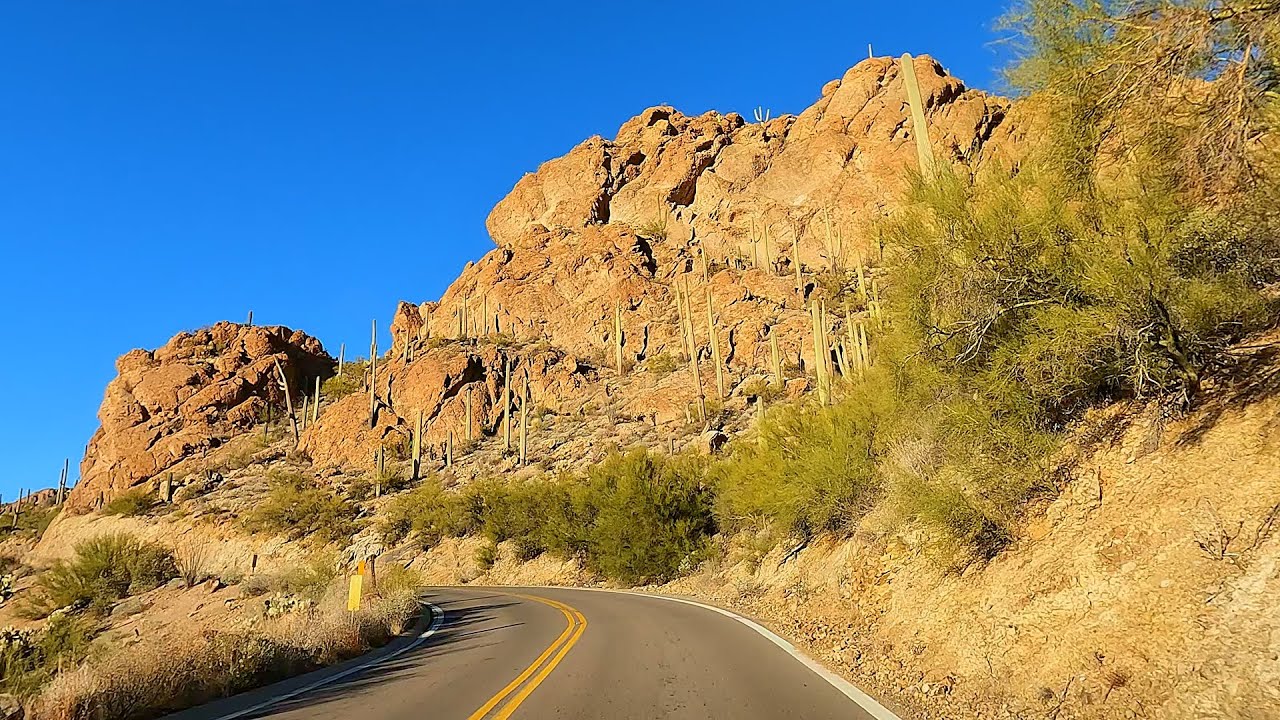 A Drive Through Tucson Mountain Park