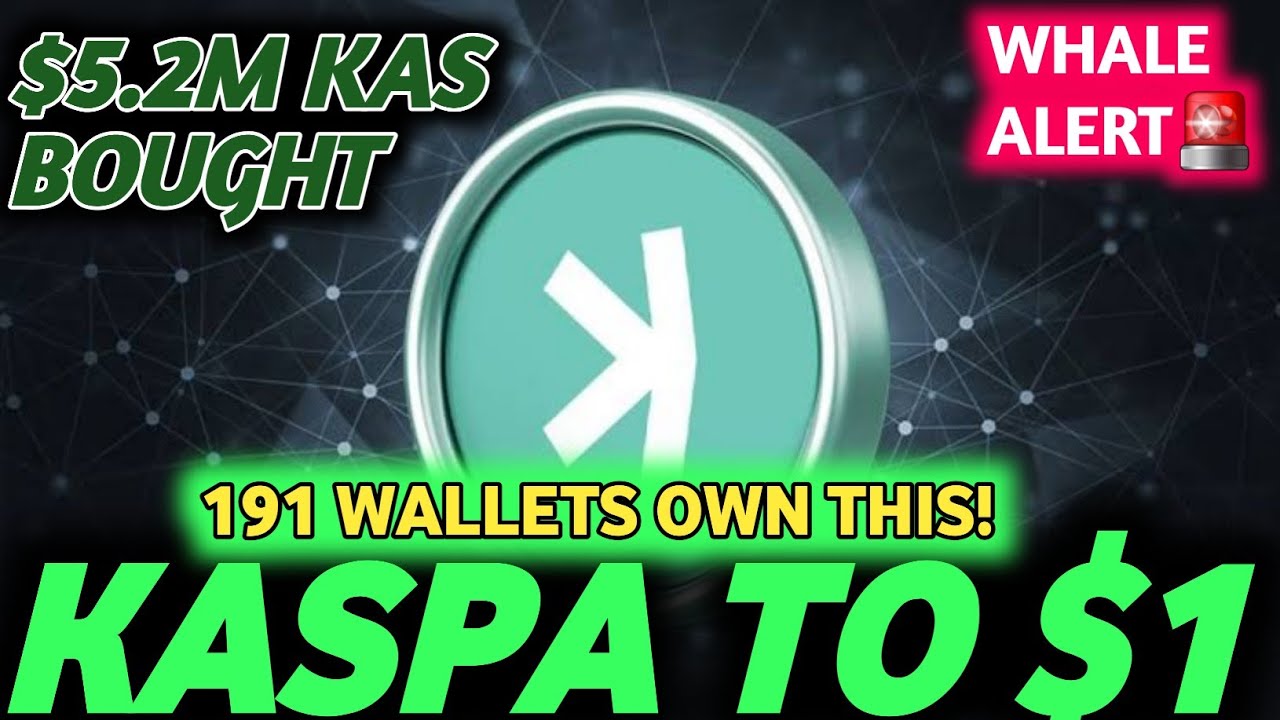 KASPA (KAS) DO $1?! Akumulacja wieloryb&oacute;w zwiastuje potężny ruch (Aktualizacja Toccata) | AKTUALI...