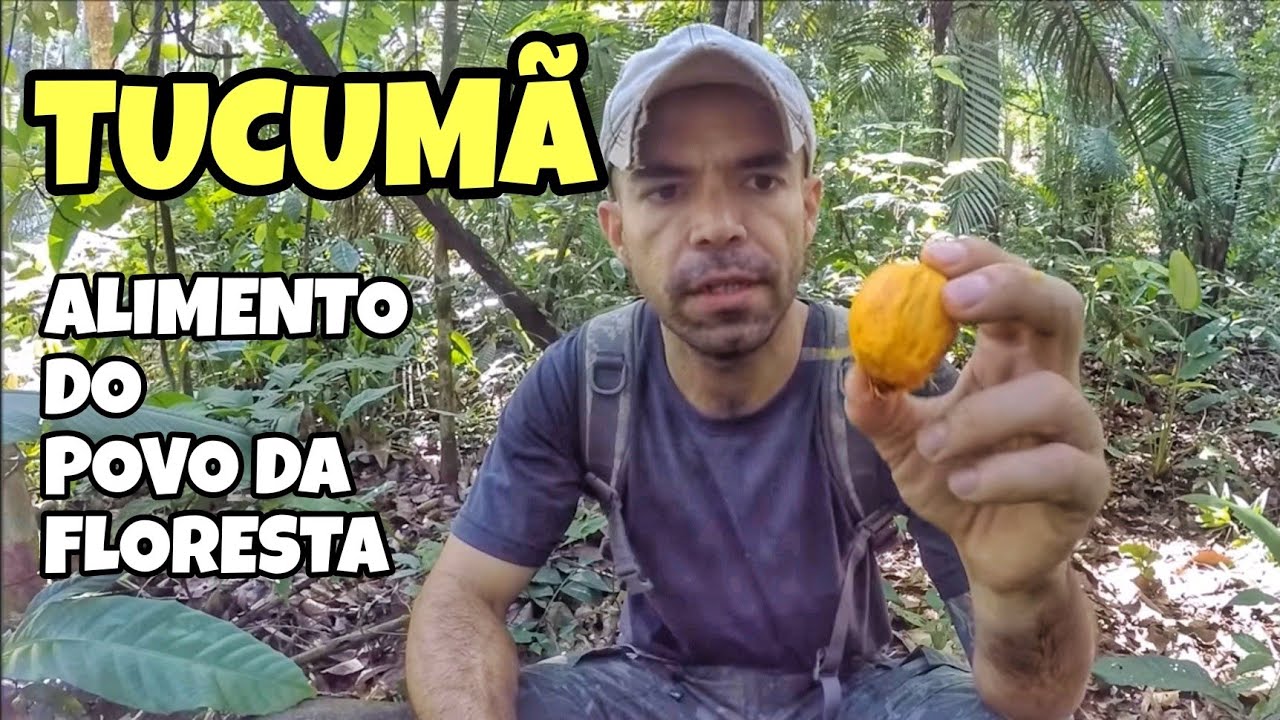 COMO ACHAR COMIDA NA SELVA? | O NUTRITIVO FRUTO DO TUCUMÃ